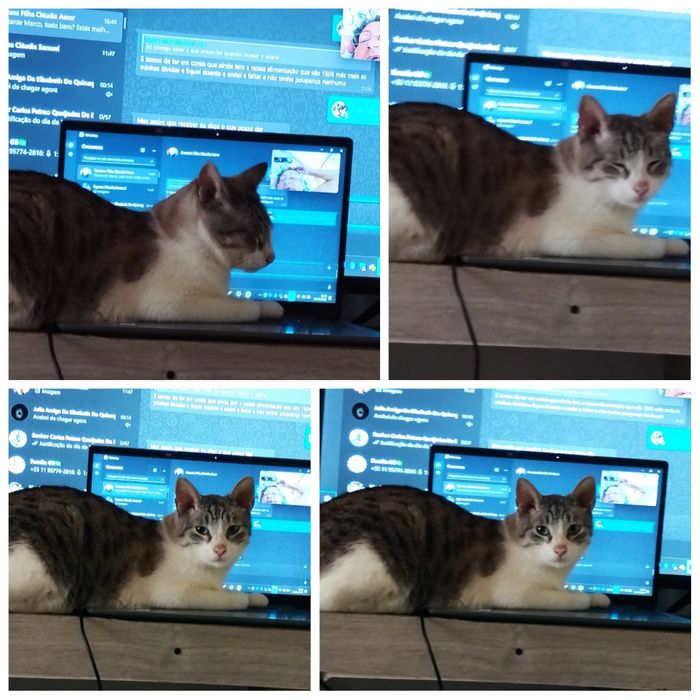 Estou doando por mutivos de sair do país