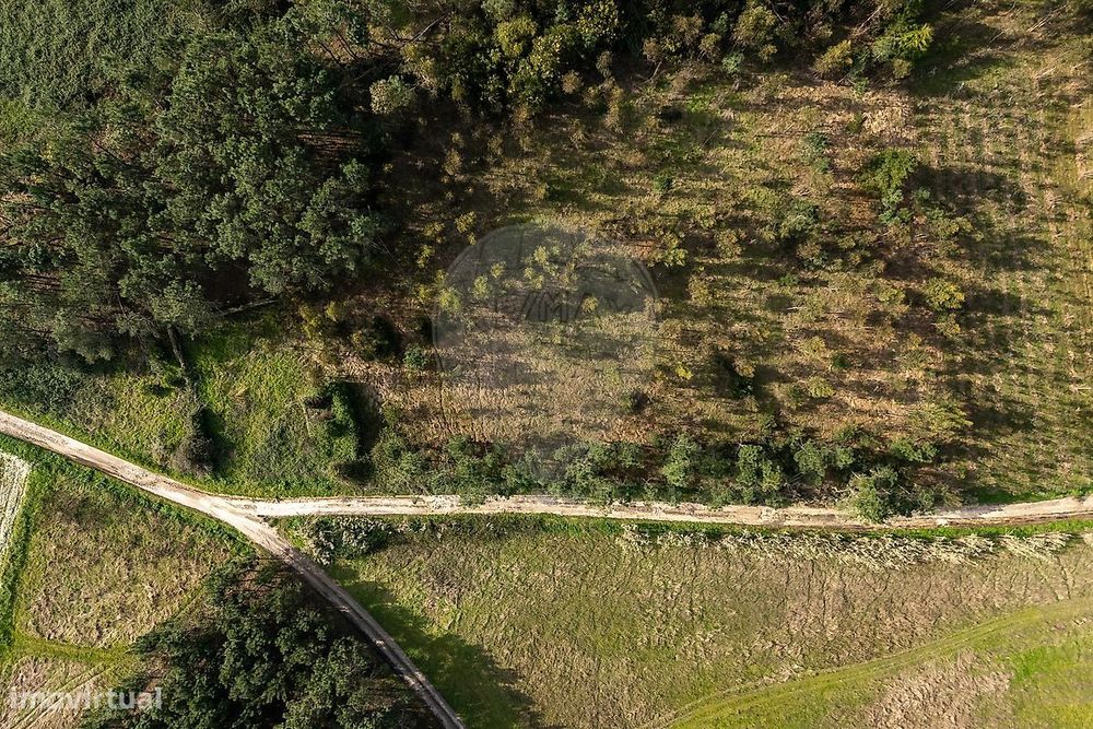 Terreno  para venda