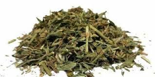 Спориш Гірчак Спорыш Горец з Карпат