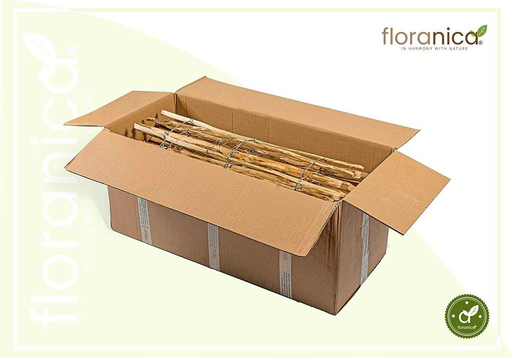 Płot ogrodowy, leszczynowy dł. 500cm z nóżką. Naturalne drewno. NOWY!