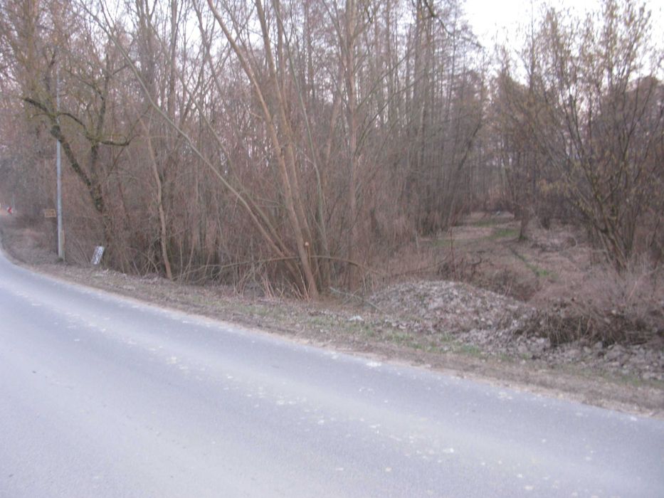 Zdjęcie 4
