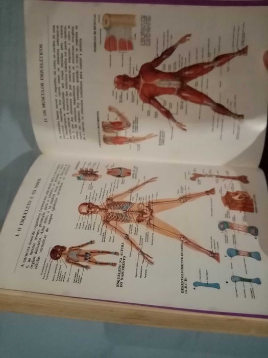 O Grande Livro da Saúde Enciclopédia Médica do Lar