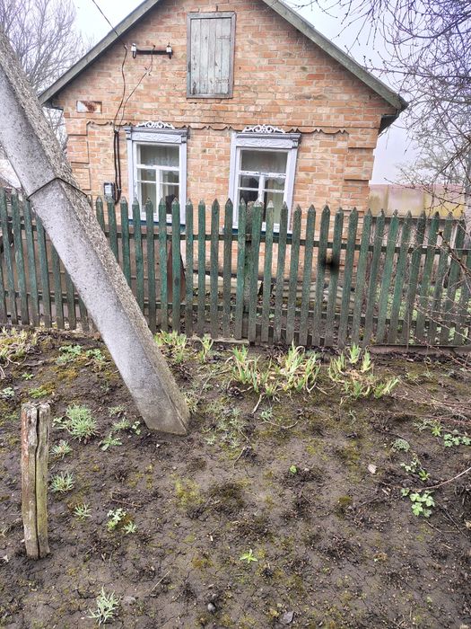 Продам будинок, в селі Мошорино , 12  км від  Знам'янки.