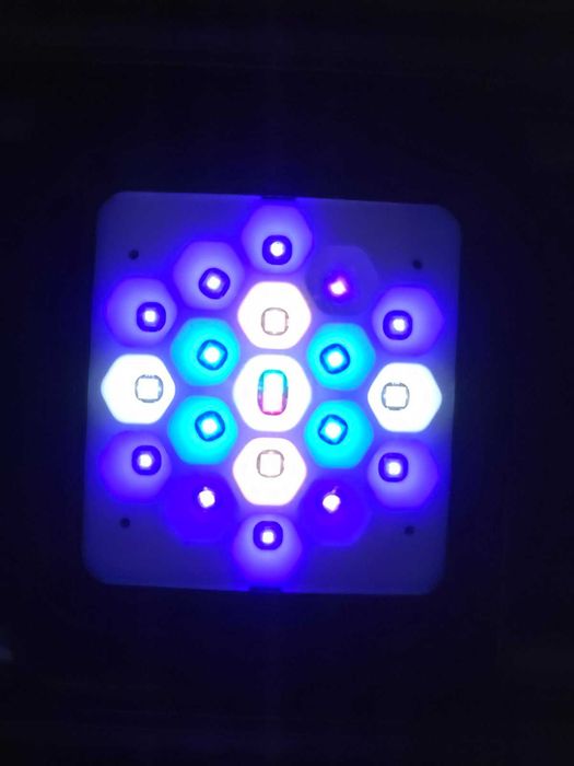 Lampa LED do akwarium morskiego Maxspect RSX 200