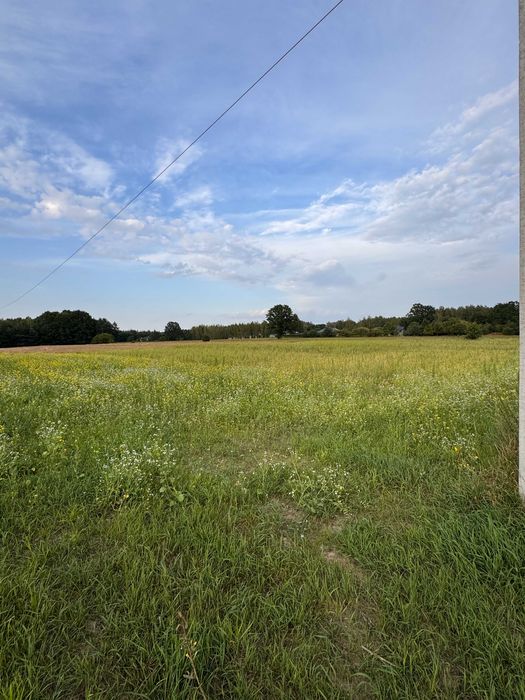 Działka budowlana – Wężyk | MPZP | Blisko Warszawy