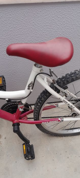 Bicicleta Team Pro 4210 Bike Sport