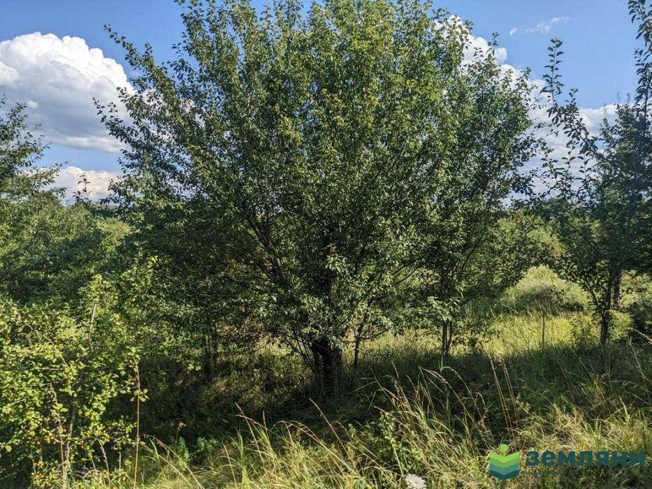 Продається ділянка 10.5 сот під будову Клузів (8)