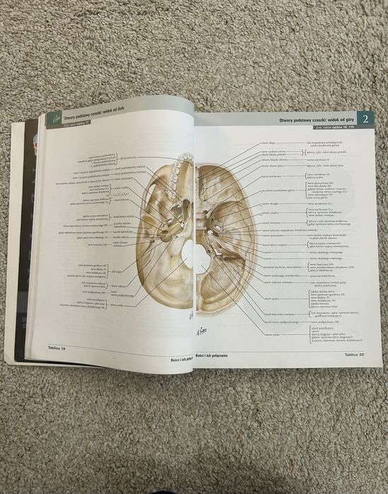Atlas Anatomii Człowieka Frank H. Netter