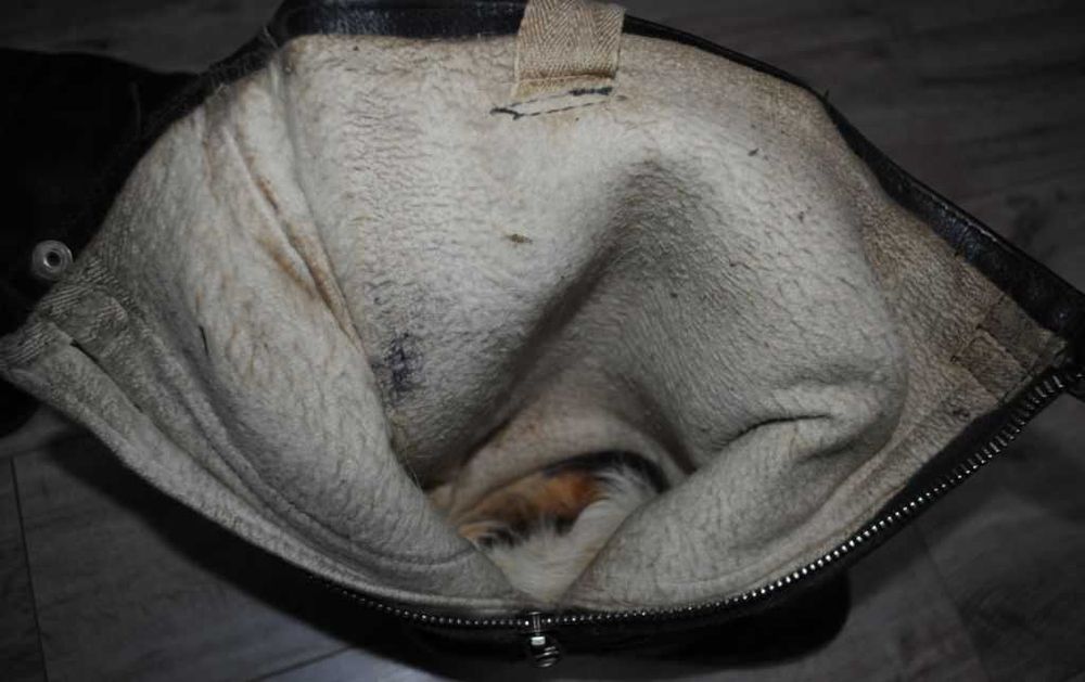 Чоботи ялові льотчика льотні утеплені байка хутро на стопу 28+ см 43 р