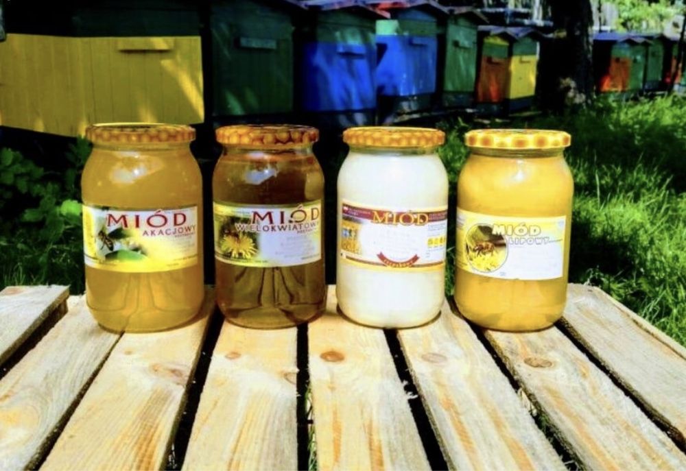 Miod naturalny pszczeli z rodzinnej pasieki słonecznikowy