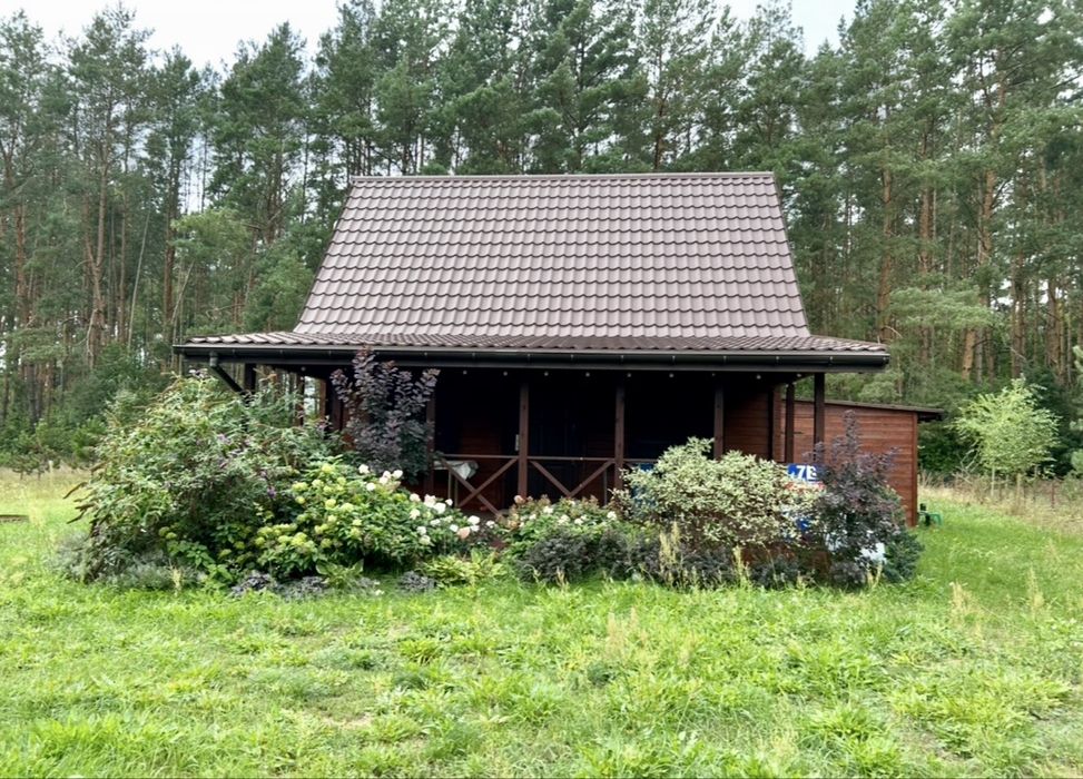 Dom drewniany 75 m² | 12 arów działki | 100 km od Warszawy | Dzbadzek