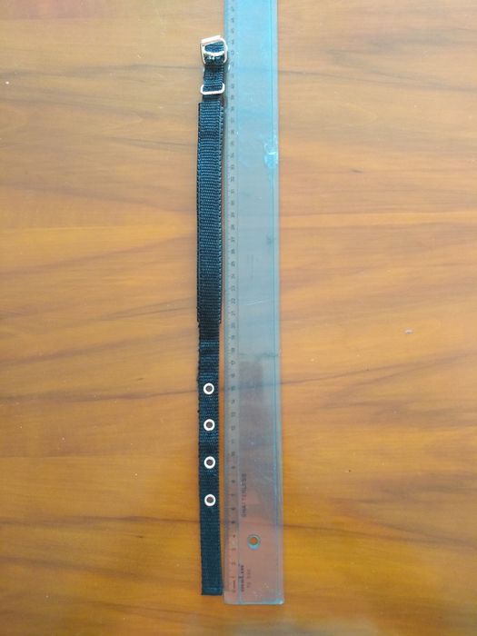 Coleira Nova cão porte pequeno/médio