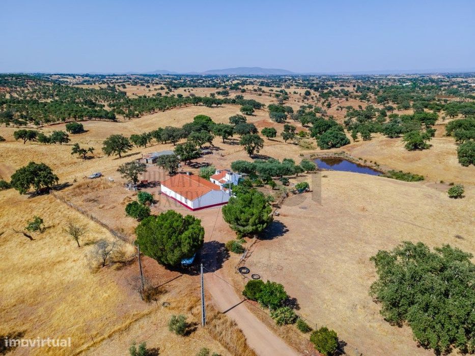 Herdade T3 em Serpa - Excelente oportunidade no Alentejo