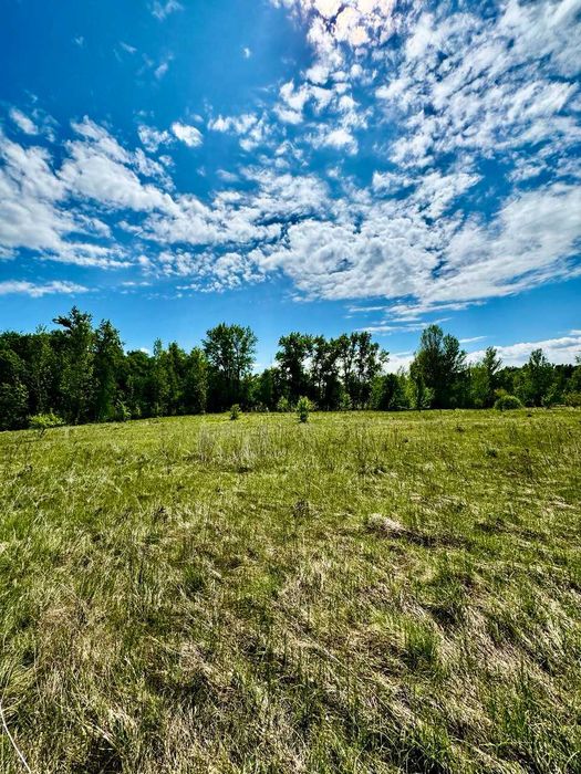 1 Лінія р. Снов! Перспективні земельні ділянки в с. Кобилянка! A11