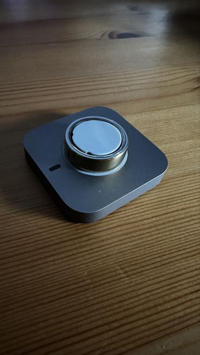 Oura ring roz.11