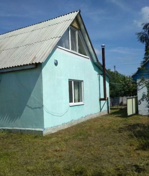 Будинок в селі. Природа, ліс, ставок.