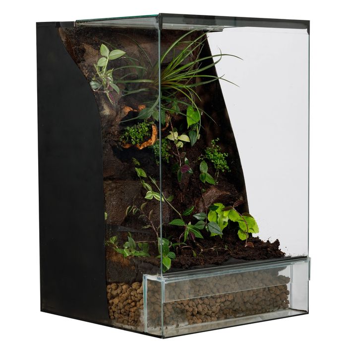 Terrarium tropikalne 40x40x60 gekon paludarium