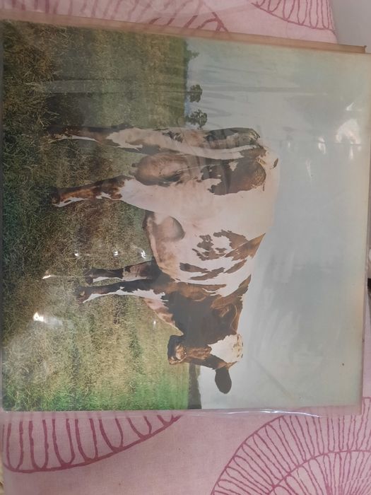 15-Pink Floyd - Vinis em Bom Estado