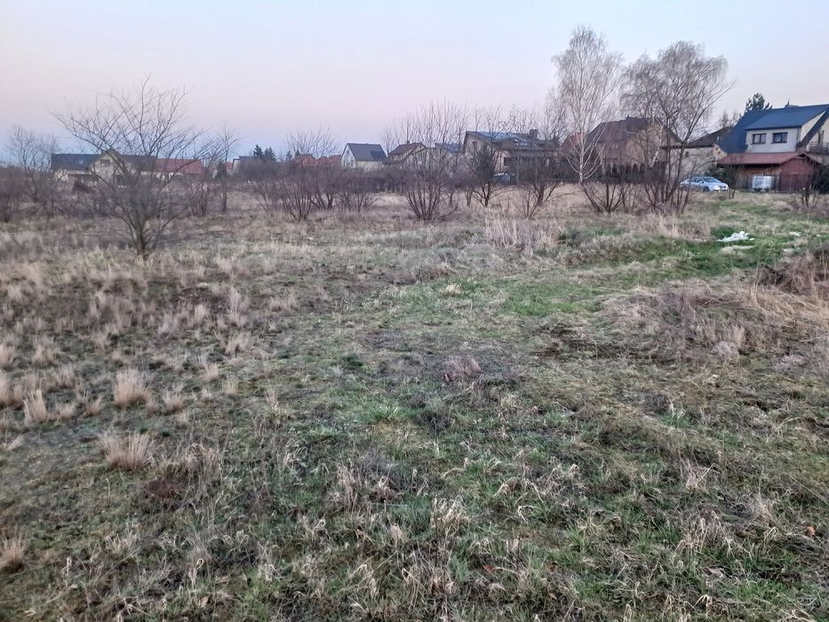 SPRZEDAM Działkę Budowlaną (Ścinawa)