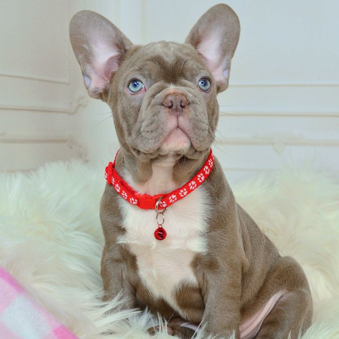 !!!Неймовірні малюки у пошуках люблячих родин!!!