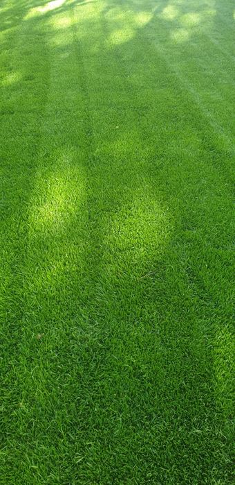 Glebogryzarka separacyjna 0,99gr/m2 Zakładanie trawników