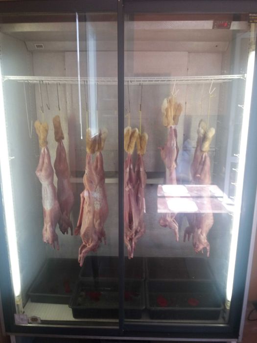 Мясо кролика, мясо кроля