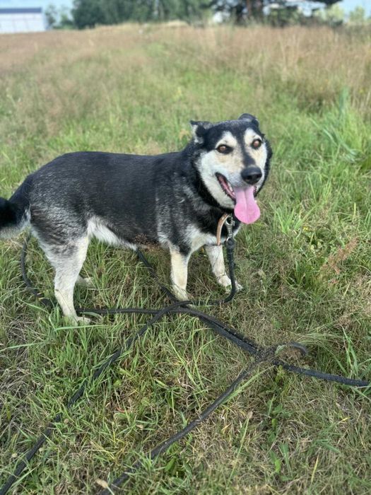 Rudi i Sabinka szukają wspólnego domu