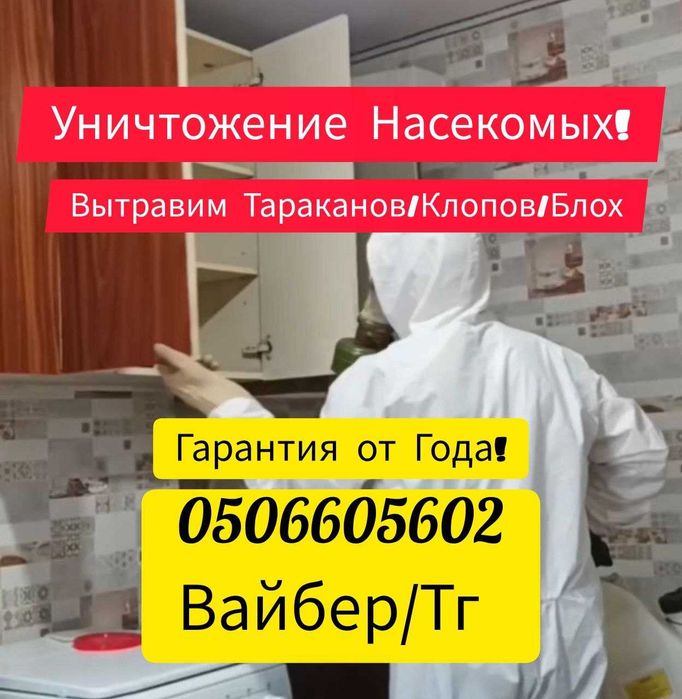Уничтожение Тараканов в Самаре, Травля Тараканов, Дезинфекция Таракан