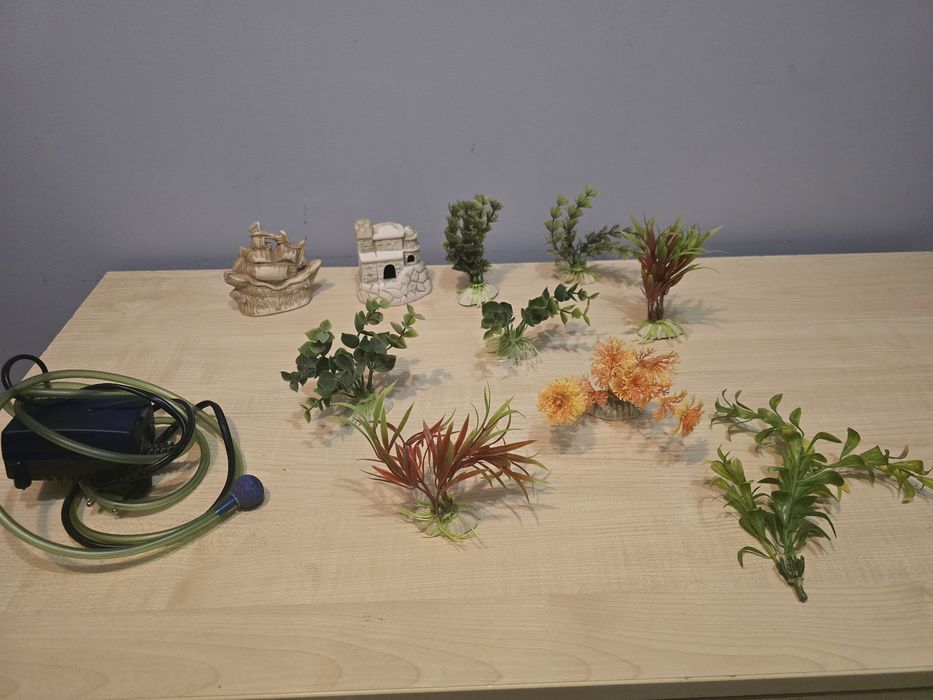 Roślinki,  filtr do akwarium