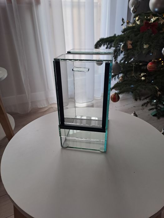 Terrarium dla pająka nadrzewnego