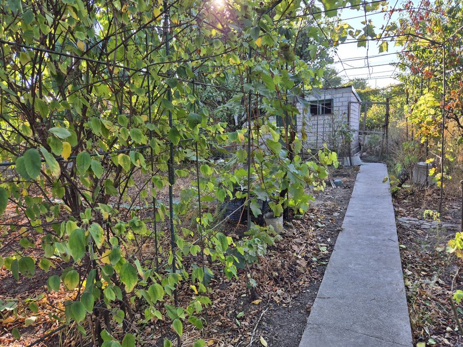 House by the address st. Primorskaya (area 70 m²) - Atlanta.ua - photo 12