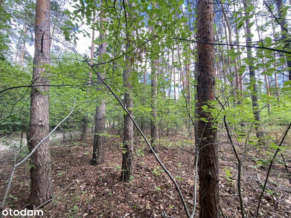 Działka 1500 m² pod zabudowę jednorodzinną w Legionowie.