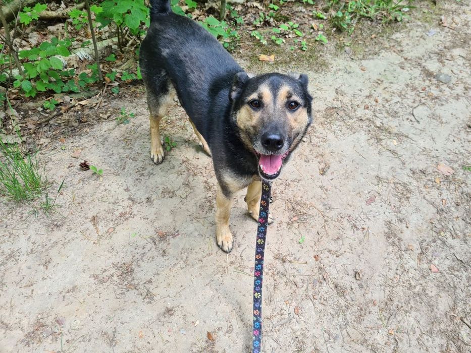 Lemo - Niewidzialny od lat