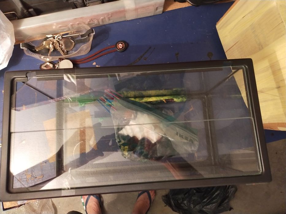 Aquário grande para peixes