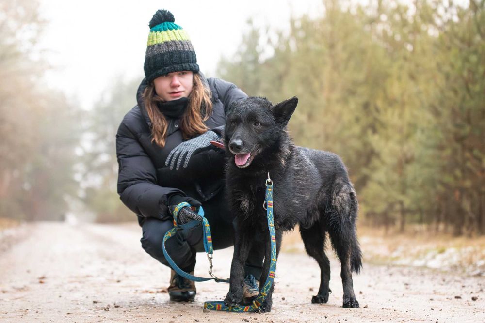 Duży czarny łagodny psiak - Charon szuka swojej rodziny do kochania