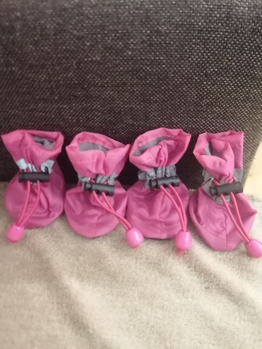 Nowe butki ochronne dla psa