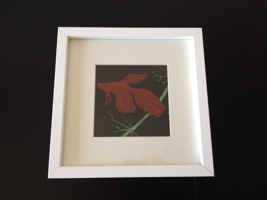 Molduras com Ilustrações de Peixes