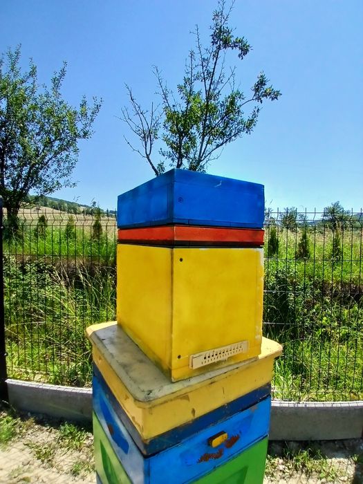 Sprzedam ule wielkopolskie