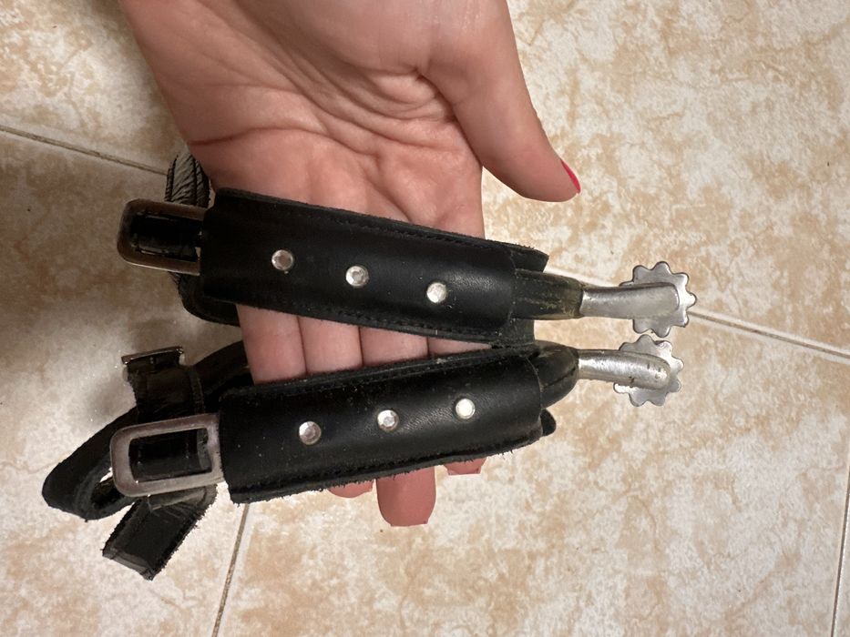 Vendo diversos materiais equestres