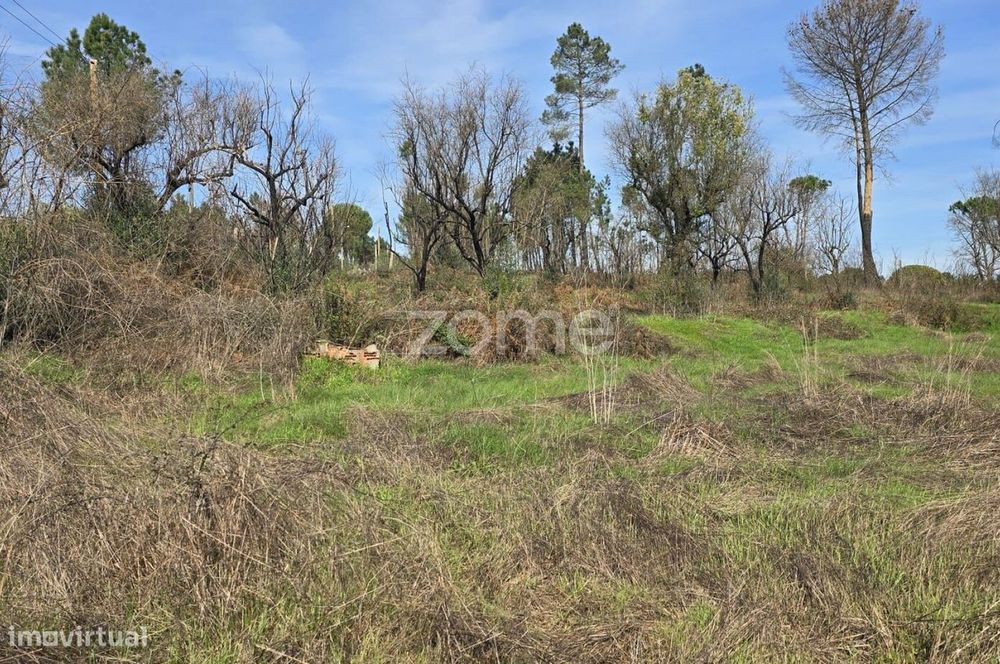 Terreno em Nelas para construção com projeto