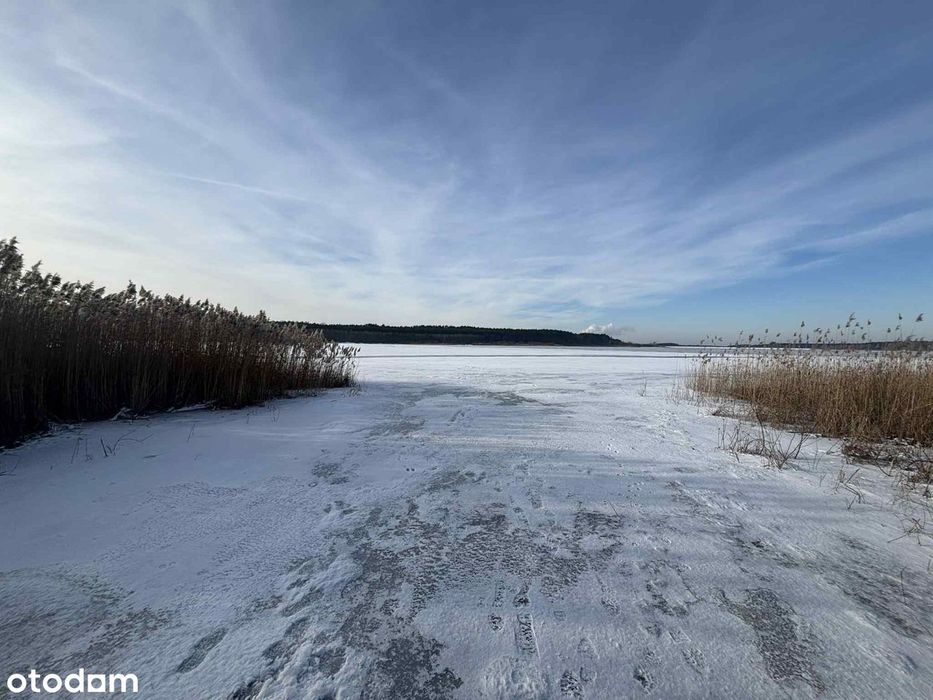 Na sprzedaż działka leśna przy Zalewie Cieszanowickim
