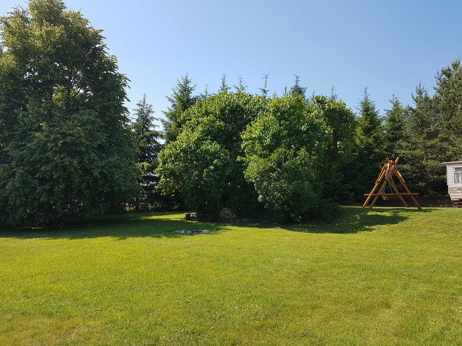 Domek letniskowy holenderski Mazury - Pieczarki