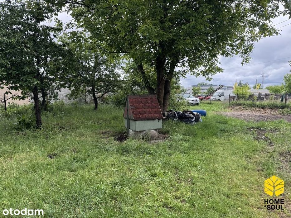 Zdjęcie 7