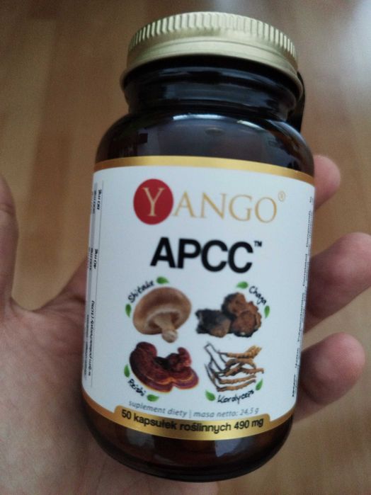 YANGO APCCA - Shitake/Reishi/Chaga/Hordyceps