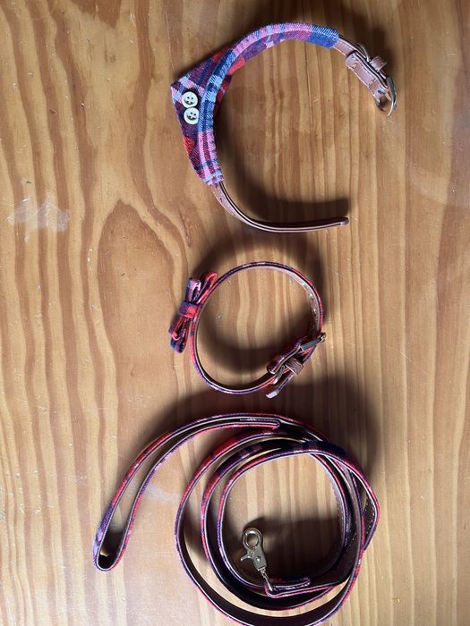 Kit de cuidados para cão