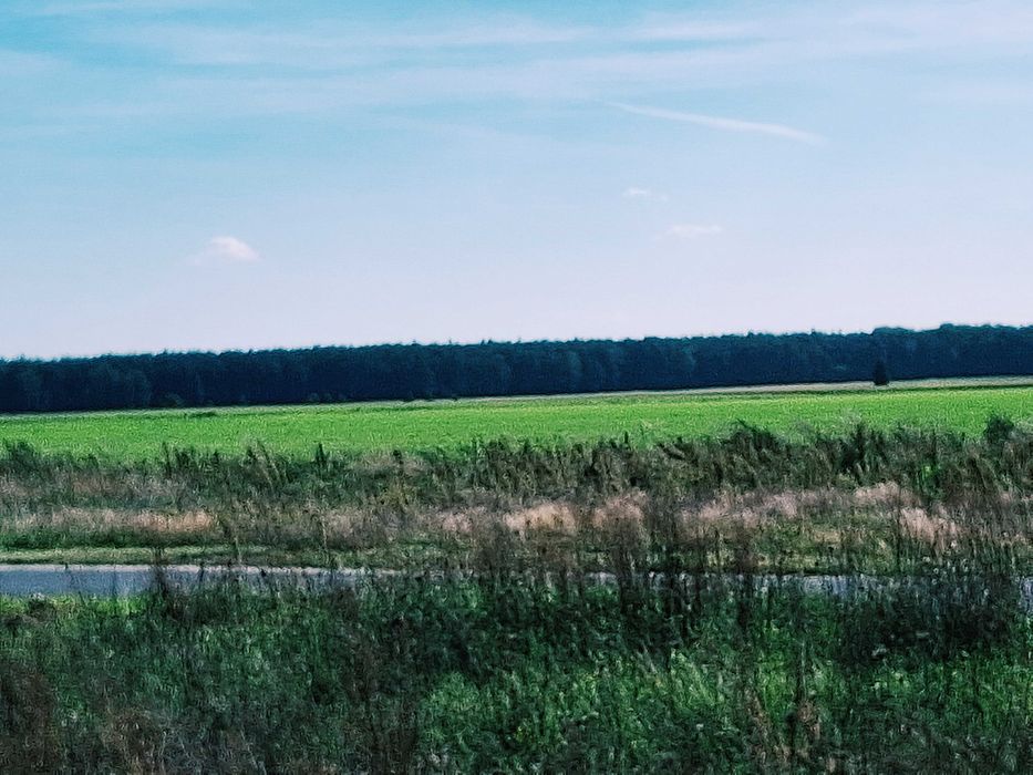 Zdjęcie 3