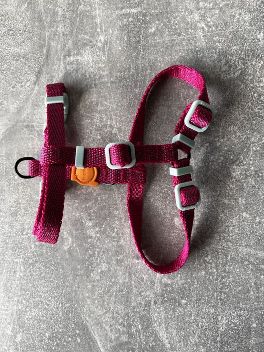 Шлея для собак Zee.Dog світловідбиваюча, розмір XS