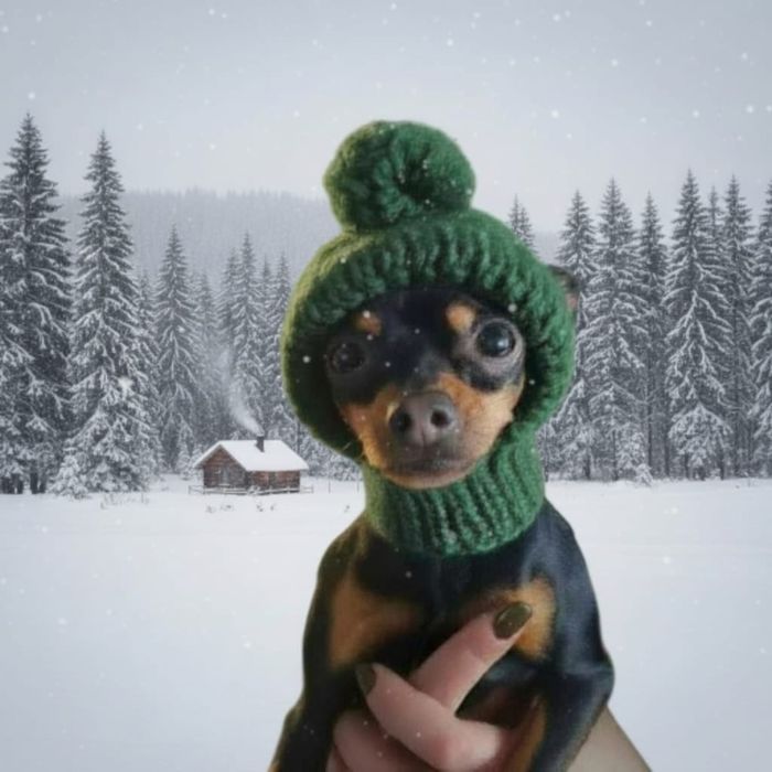 Ręcznie robiona czapka kominiarka dla kota/małego psa – zielona z pomp