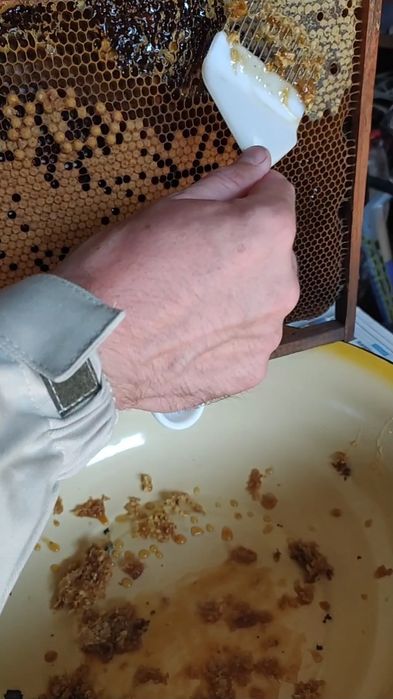 Мед натуральний, Домашня пасіка, гречаний, різнотрав'я