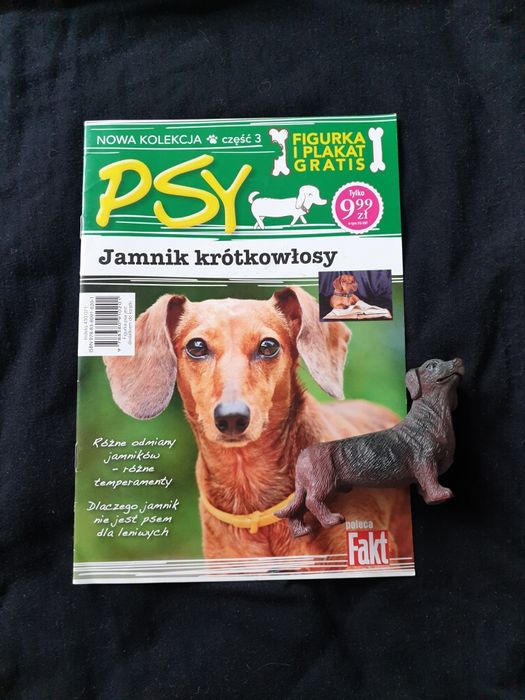 Gazetka Psy+figurka kolekcja